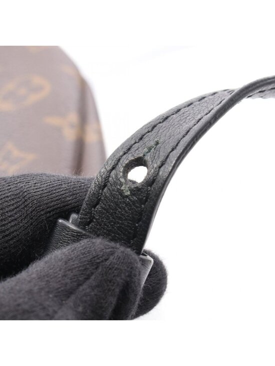 Louis Vuitton Backpack Palm Springs PM Monogram Canvas Leather